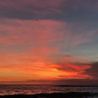 奏さんのアイコン画像