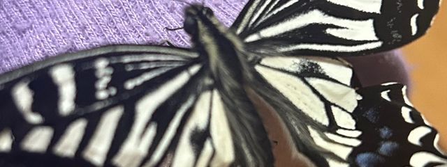 えあ‪☺︎‬💜🐰🍑さんの壁紙画像