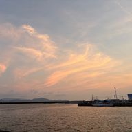 とーふさんのアイコン画像