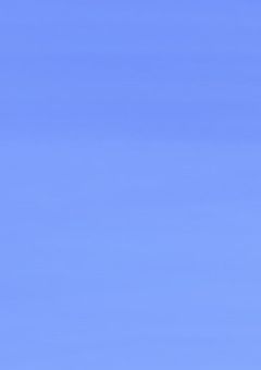 色んな絵置くとこ