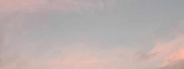 ゆりさんの壁紙画像