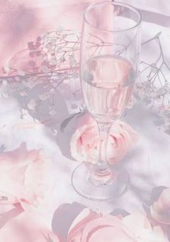 同盟のみんな🫶