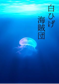 白ひげ海賊団とあの子