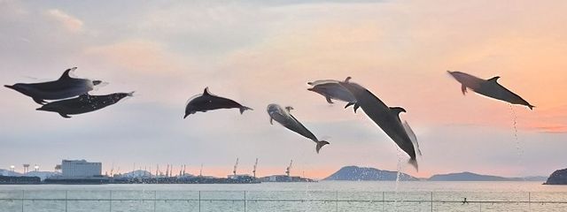 あーちゃんさんの壁紙画像