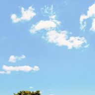 𓃠さんのアイコン画像