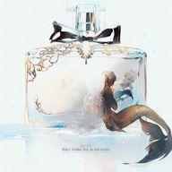 ちぬさんのアイコン画像