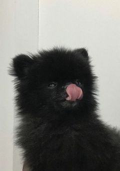 　あなたへ