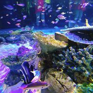 ｔｎｃｈｉさんのアイコン画像