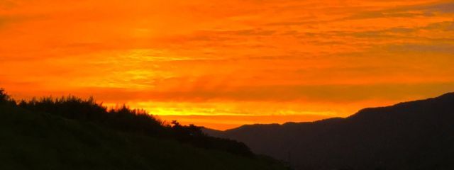 Lanchiさんの壁紙画像