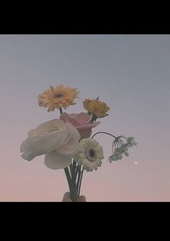 ４兄妹の韓国芸能界人生