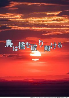 鳥は檻を破り翔ける