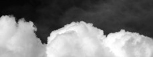 翔🪽さんの壁紙画像