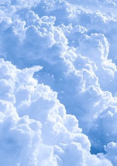 くものおへや。