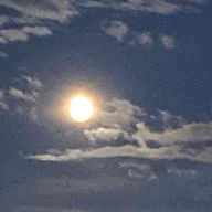 cloud.さんのアイコン画像