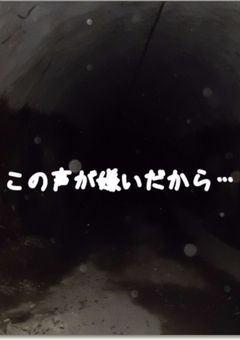 この声が嫌いだから…