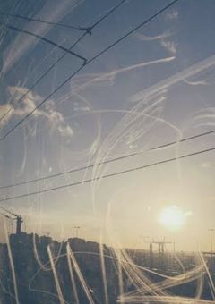 ⛓️ 『精神科』 ⛓️