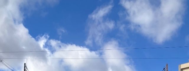 かろ さんの壁紙画像