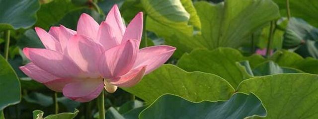 まお🍫💓さんの壁紙画像