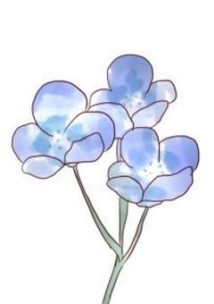 ネモフィラの約束