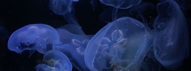 🌀さんの壁紙画像