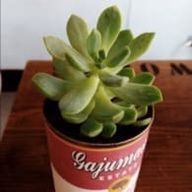 あべ ゆうこさんのアイコン画像