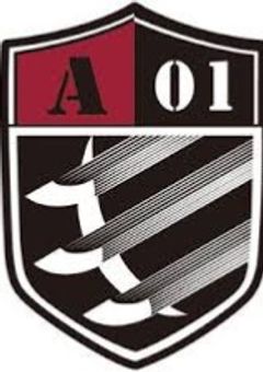 ボーダーのお姫様