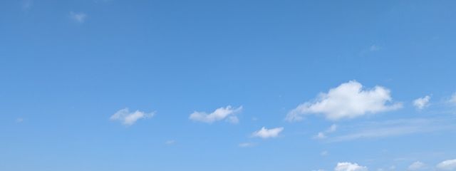 みこ💫🐸🤍さんの壁紙画像