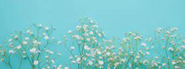 ろっぷ@休止中さんの壁紙画像