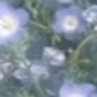 🎀さんのアイコン画像