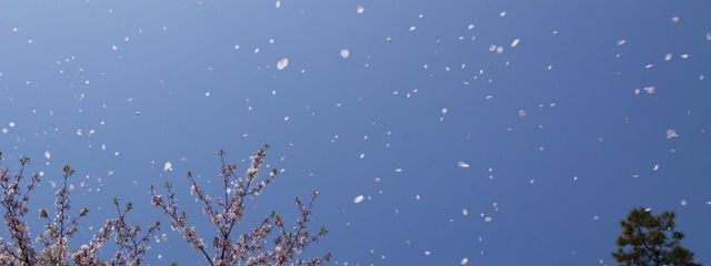 満色 まどか 🐿🌷💭さんの壁紙画像