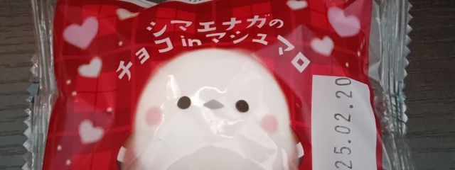 由美さんの壁紙画像