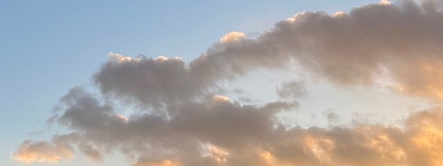 そるとさんの壁紙画像