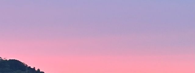 そるとさんの壁紙画像