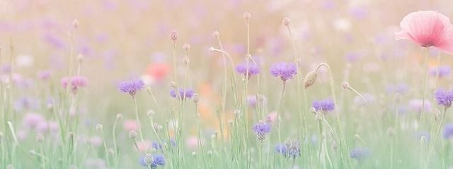 ReSHaさんの壁紙画像