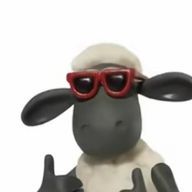 こじさんのアイコン画像