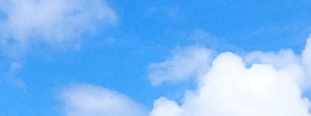 Manaさんの壁紙画像