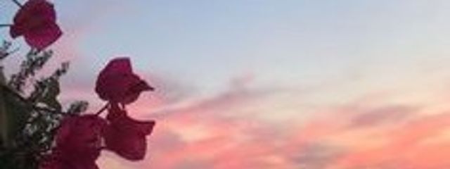 MAMIさんの壁紙画像