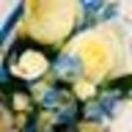 qn.94さんのアイコン画像