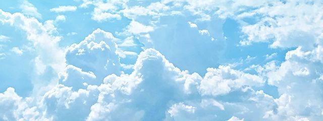 𝔰𝔭𝔦𝔫𝔢𝔩 ︎︎◝✩さんの壁紙画像