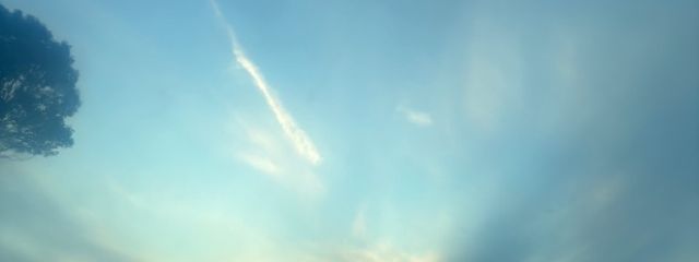 ちょちょ🦋さんの壁紙画像