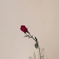 syyさんのアイコン画像