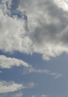 生徒会秘書制度