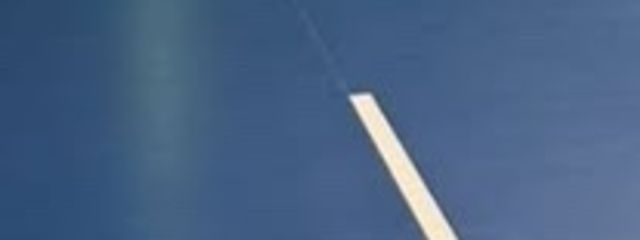 雑草さんの壁紙画像