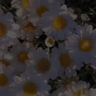 しずくさんのアイコン画像