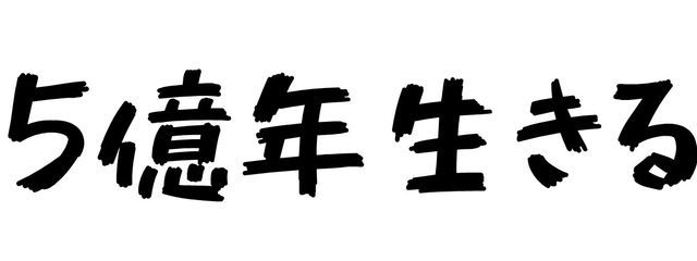 もち丸さんの壁紙画像