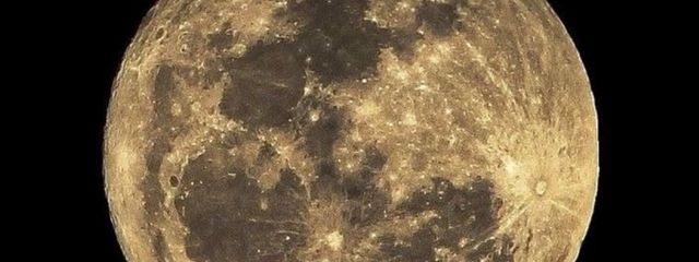 汐瀬 琴葉さんの壁紙画像