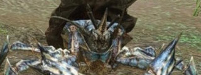 ガミザミさんの壁紙画像