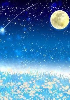 参加型設定書くところ