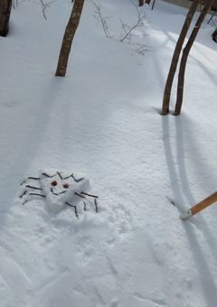 初めまして