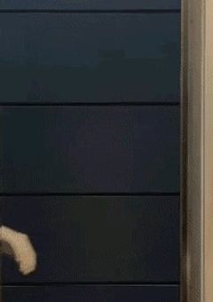 あみかがお姉ちゃん!